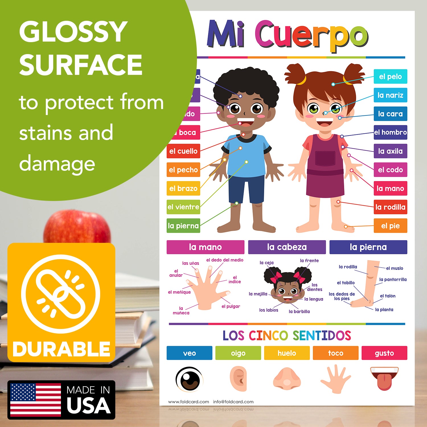 Spanish Chart Bundle - 14 Educational Posters for Kids - Large Size